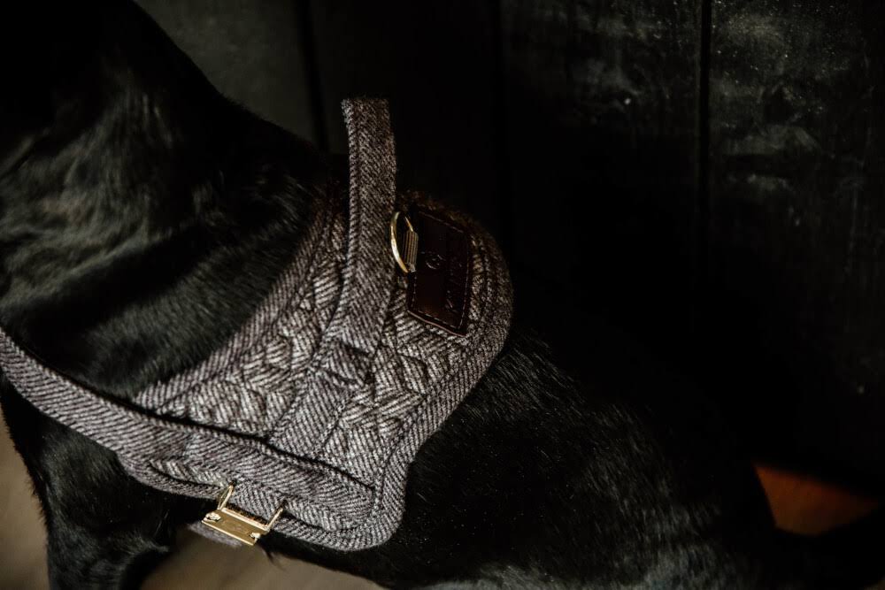 Wool Dog Harness W3197