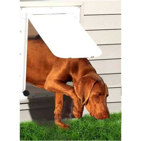 Pet Door B842