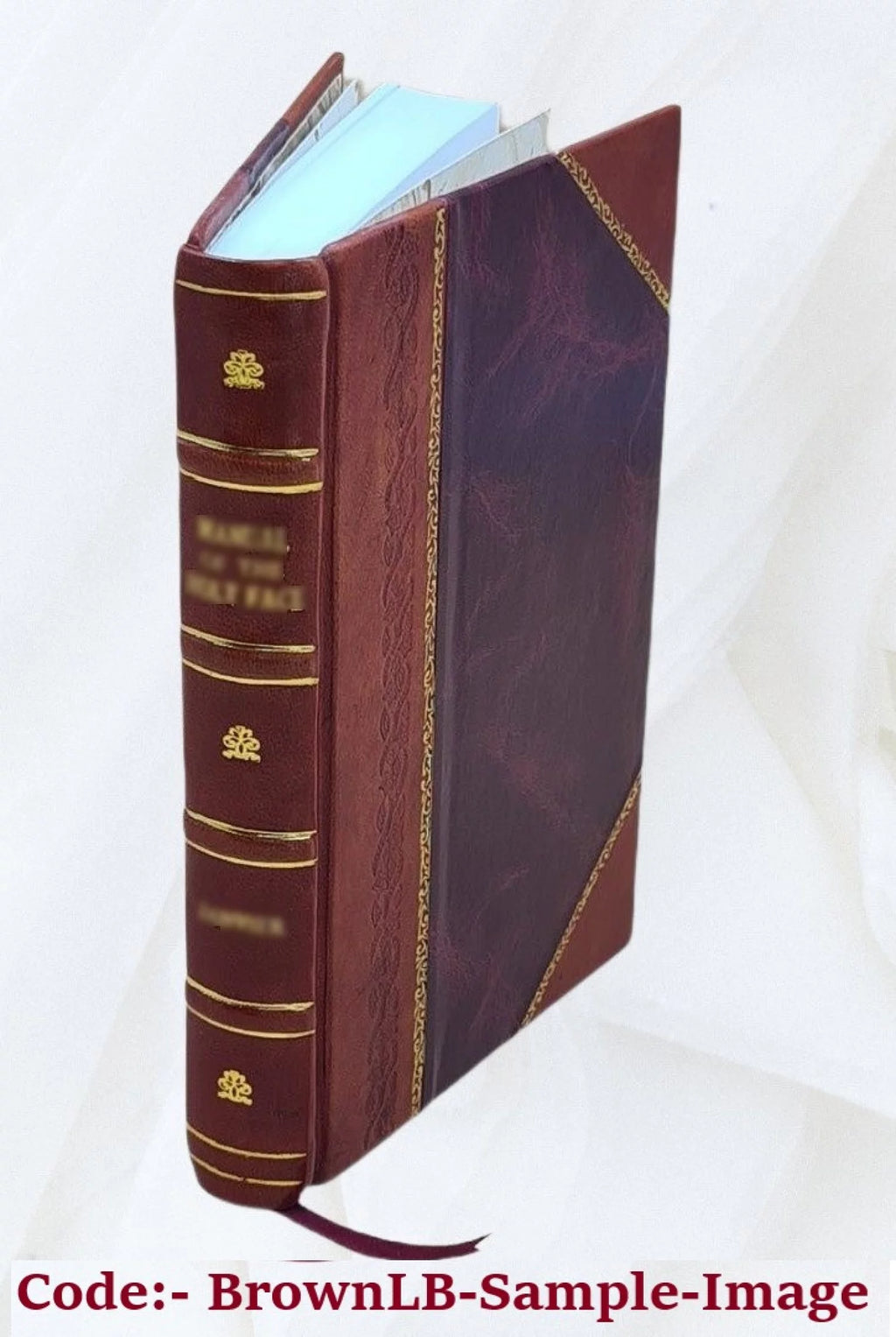 Domestic Gold Mining Industry Hearings Leather Bound X168