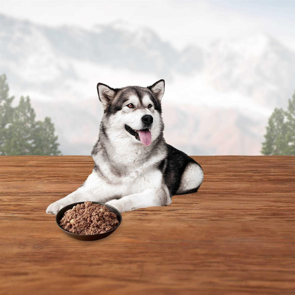 Chicken Dog Food Y9553