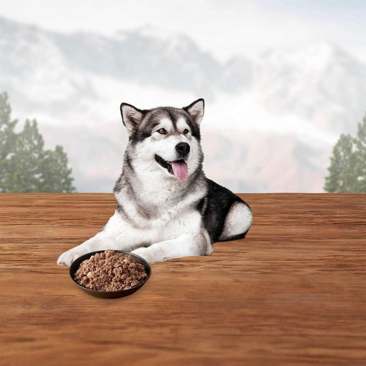 Chicken Dog Food Y9553