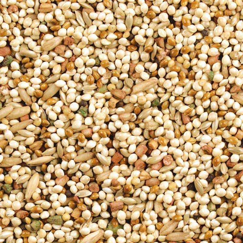 Daily Blend Nutrition Diet for Parakeet, Canary and Finch 10 Pounds X6628