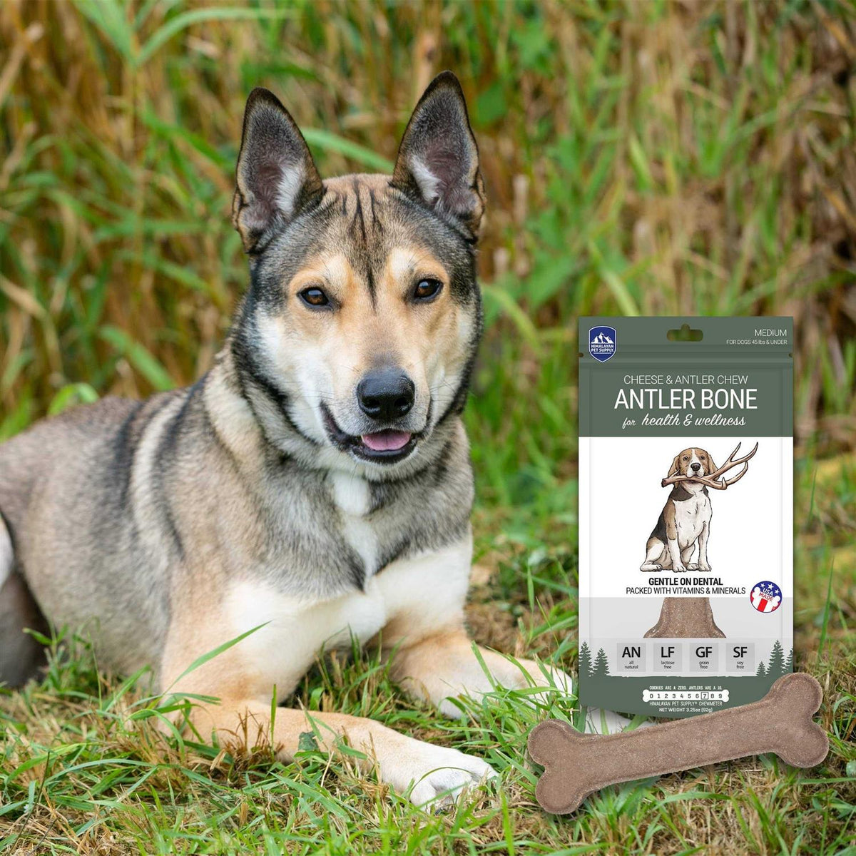 Antler Bone Dog Chew A2405