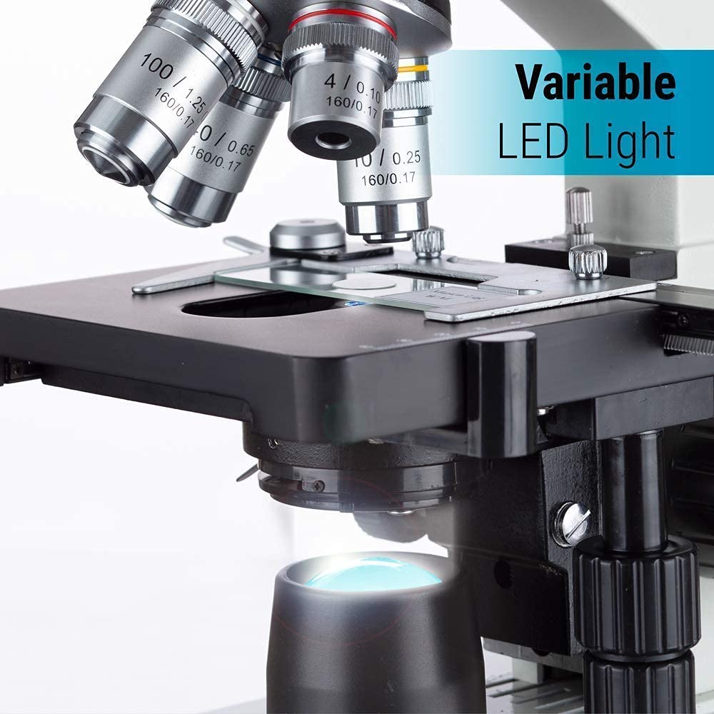 40X-2000X LED Binocular Compound Lab Microscope Q797