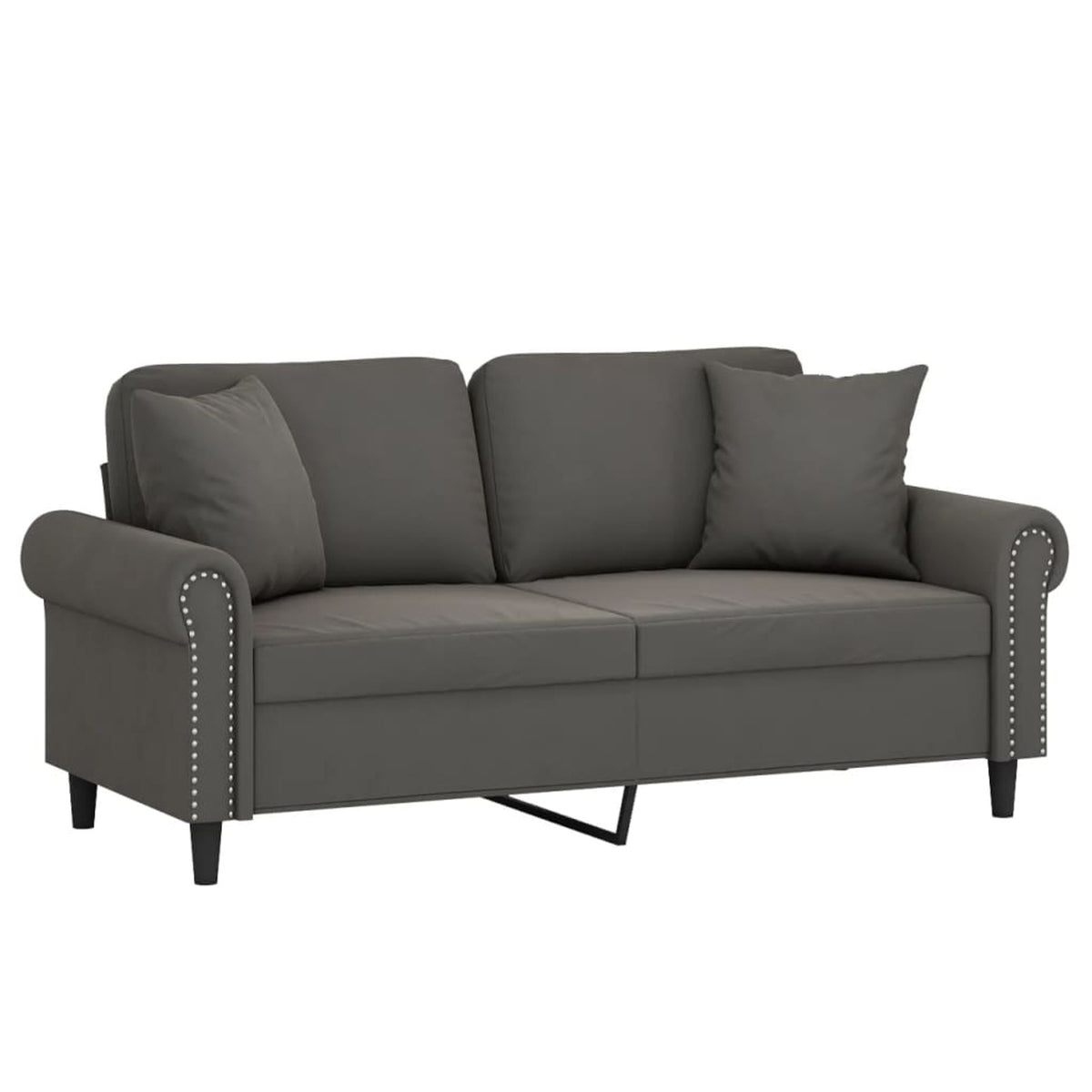 2-Seater Sofa Dark Gray 55.1" N2730