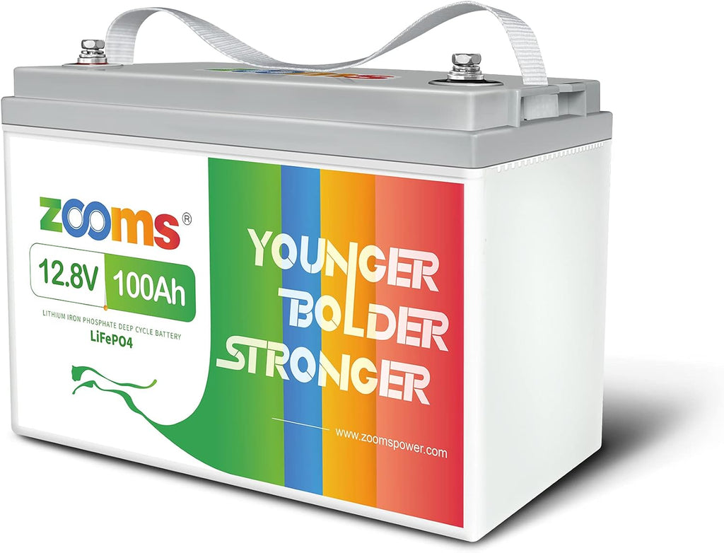 12V 200Ah LiFePO4 Battery Lithium Iron Phosphate Deep Cycle Rechargeable Battery with Built-in 100A BMS O75612