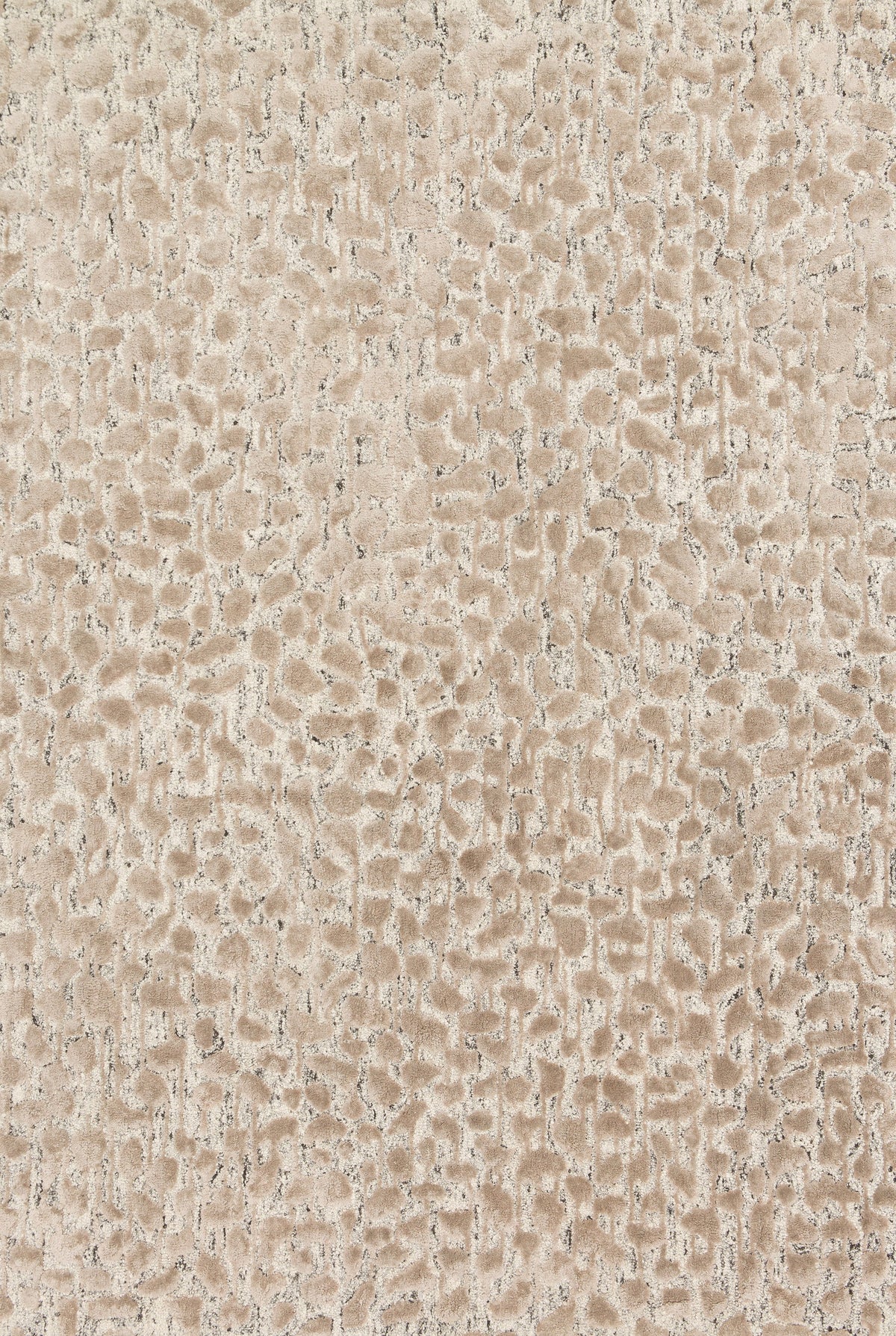 Ash Taupe 5' x 7'6 Rug E549
