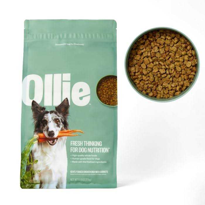 Baked Chicken Dish with Carrots Dry Dog Food S451