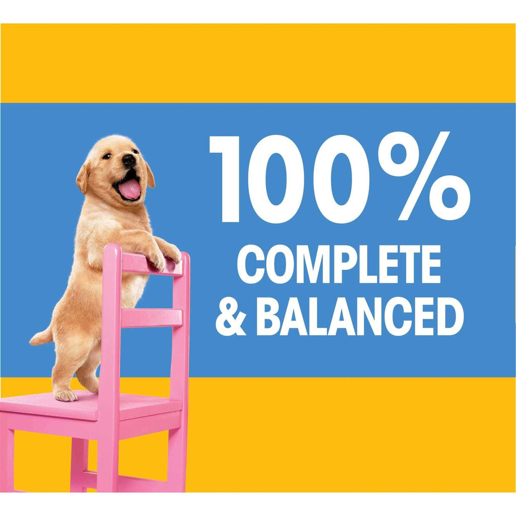 Chicken & Vegetable Flavor Dry Dog Food W335238