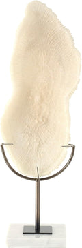 Polystone Decorative Sculpture with Gray Stand and Acrylic Base, 7" x 5" x 19", Cream Q811469