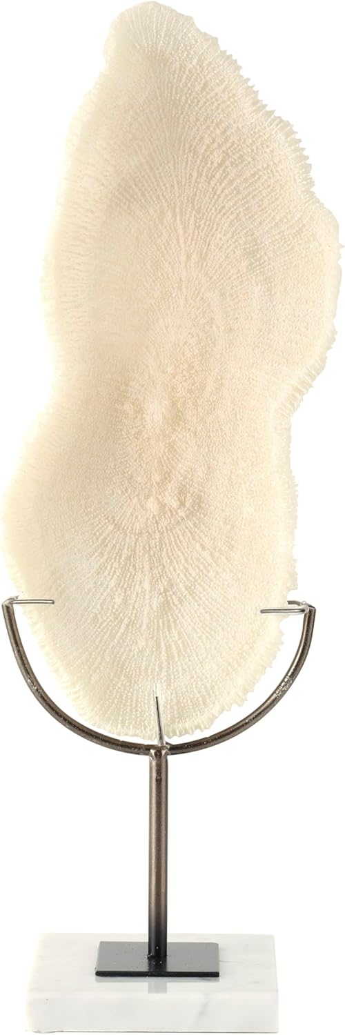 Polystone Decorative Sculpture with Gray Stand and Acrylic Base, 7" x 5" x 19", Cream Q811469