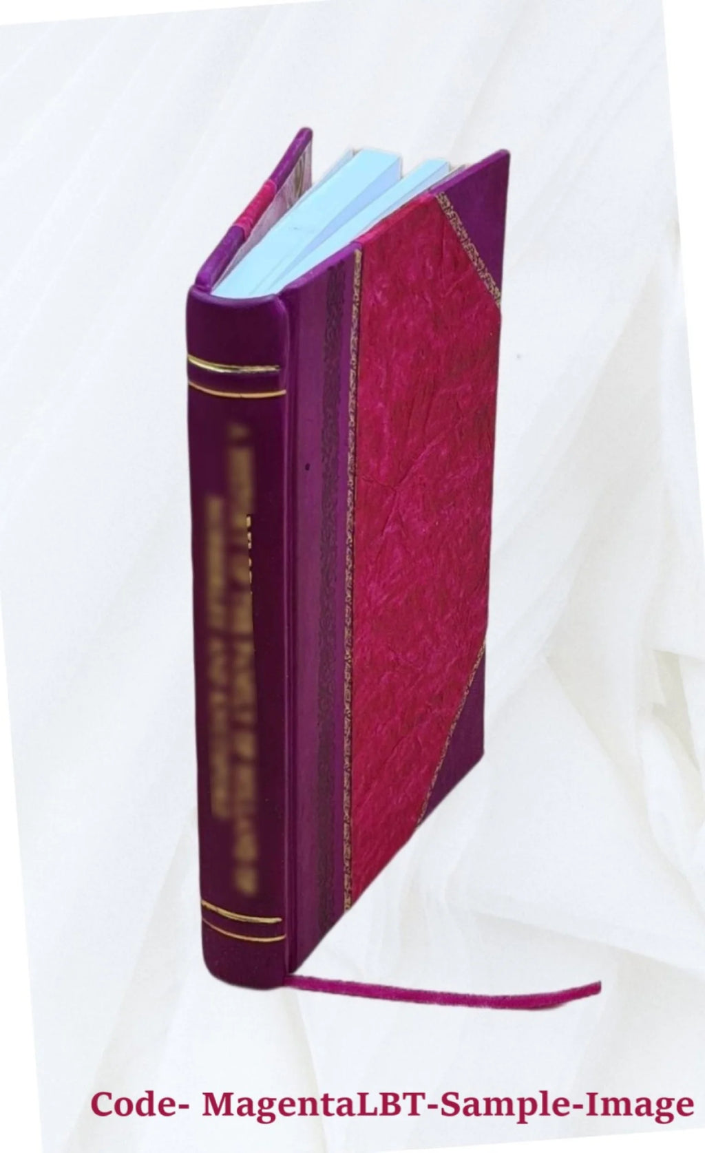 Leather Bound Furniture W501