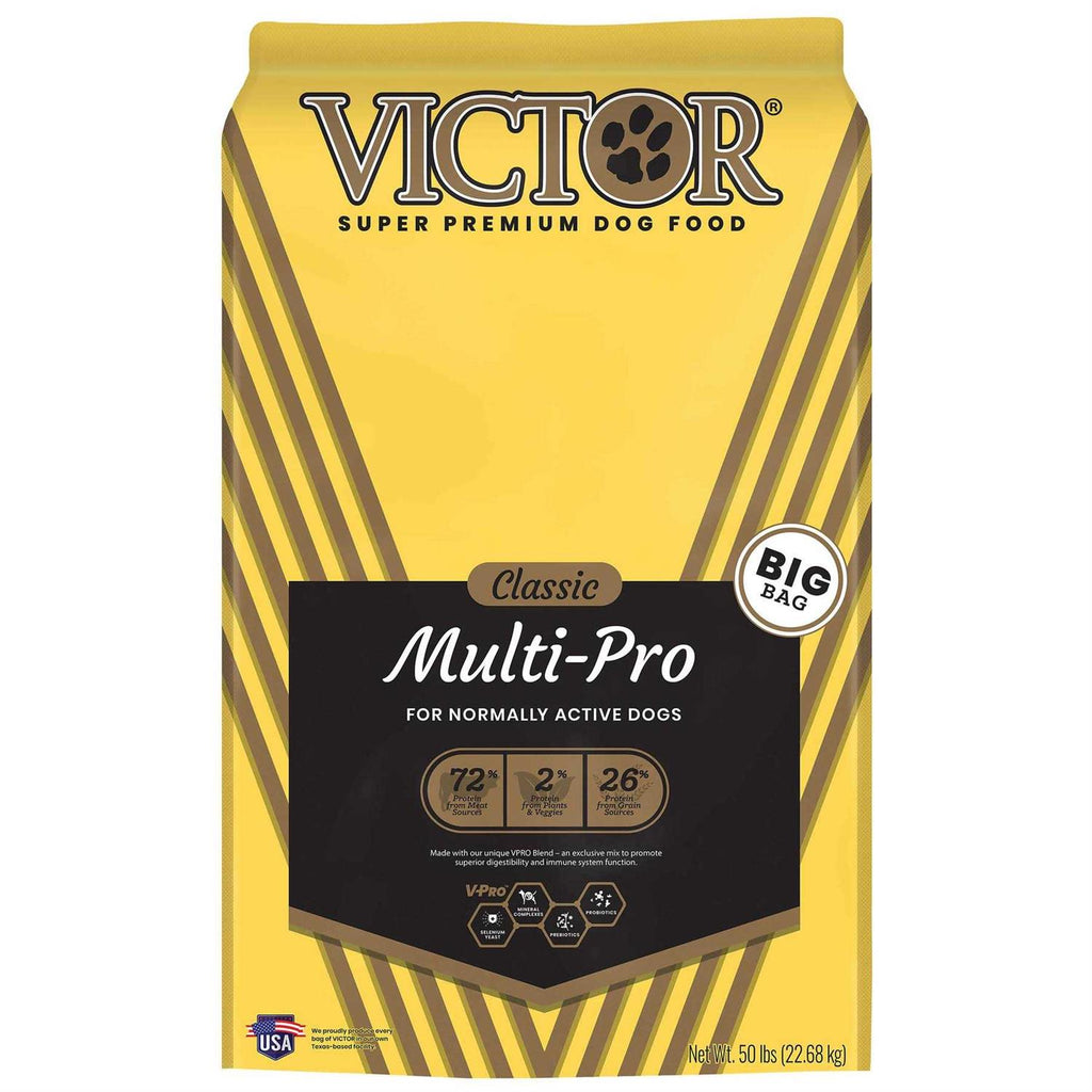 Dog Food Y174655