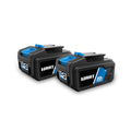 20-Volt 4ah and 2ah Batteries 3-Pack X92586