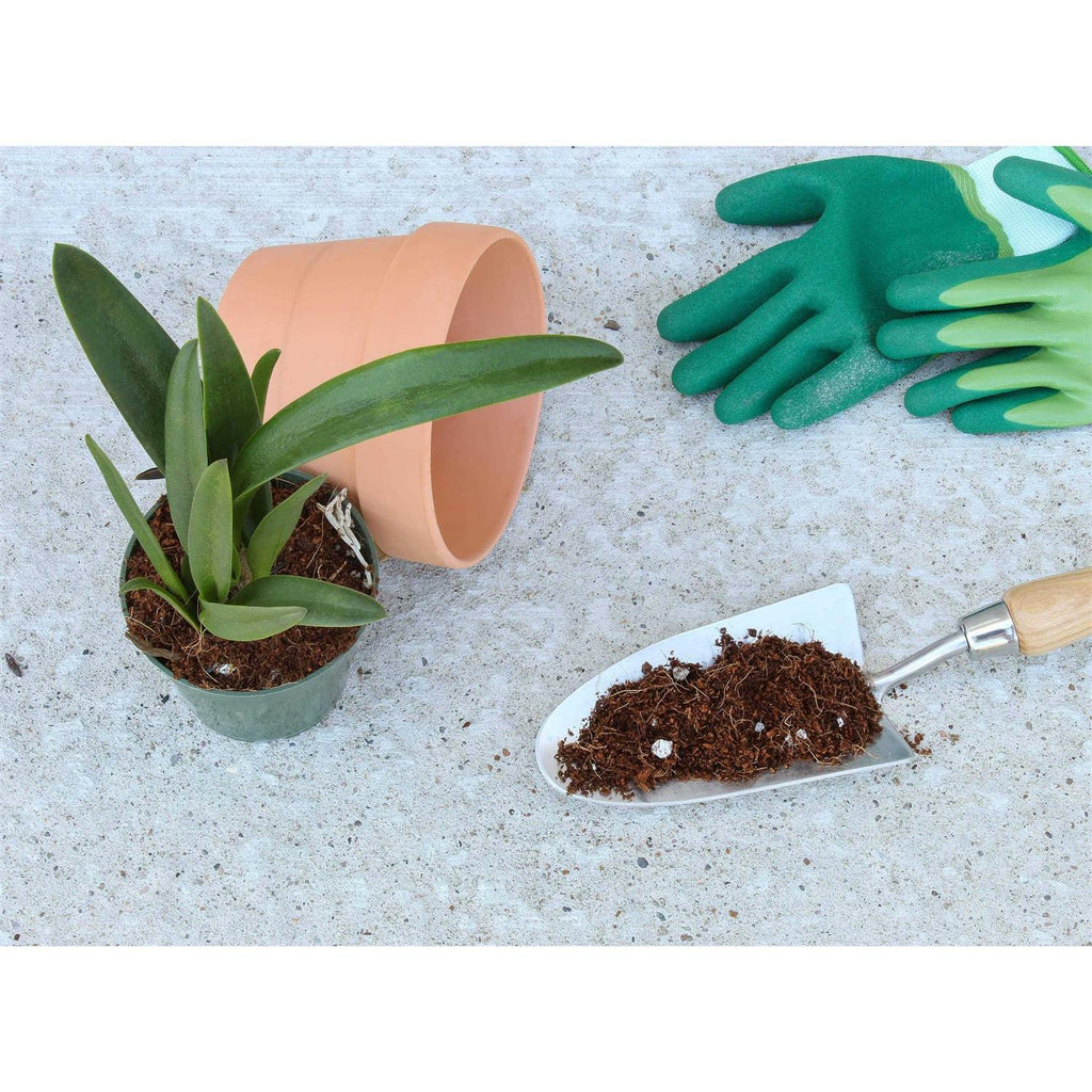 Terrarium Potting Soil Mix with Charcoal T586