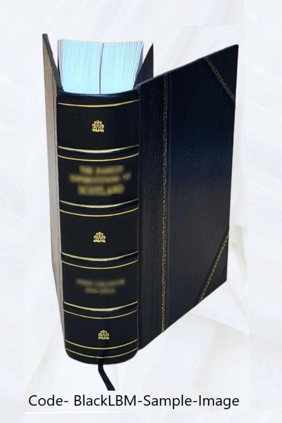 Leather Bound D69314