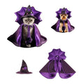 Purple Pet Costume with Cape and Witch Hat H346585