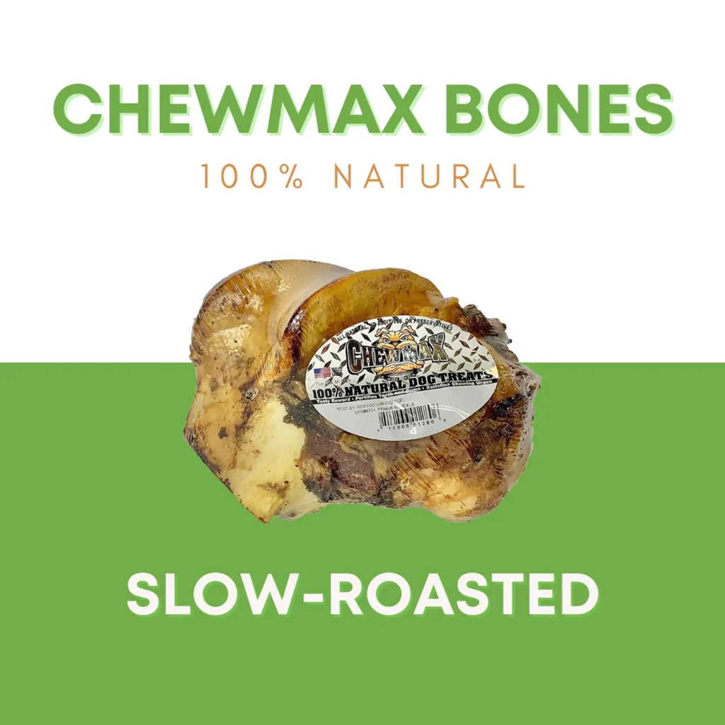 Beef Bone J175465