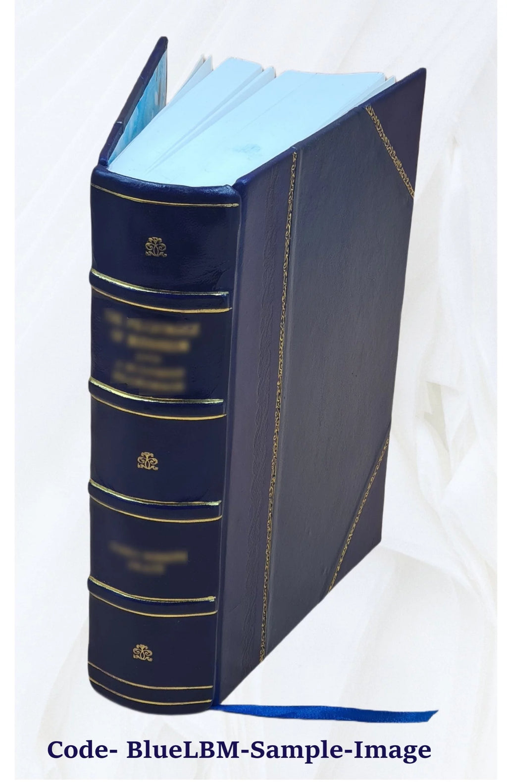 Leather Bound D69314