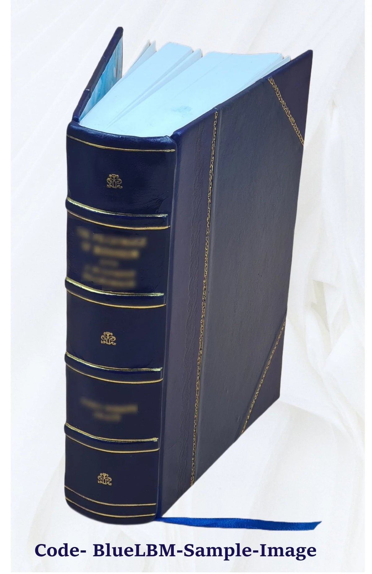 Leather Bound D69314