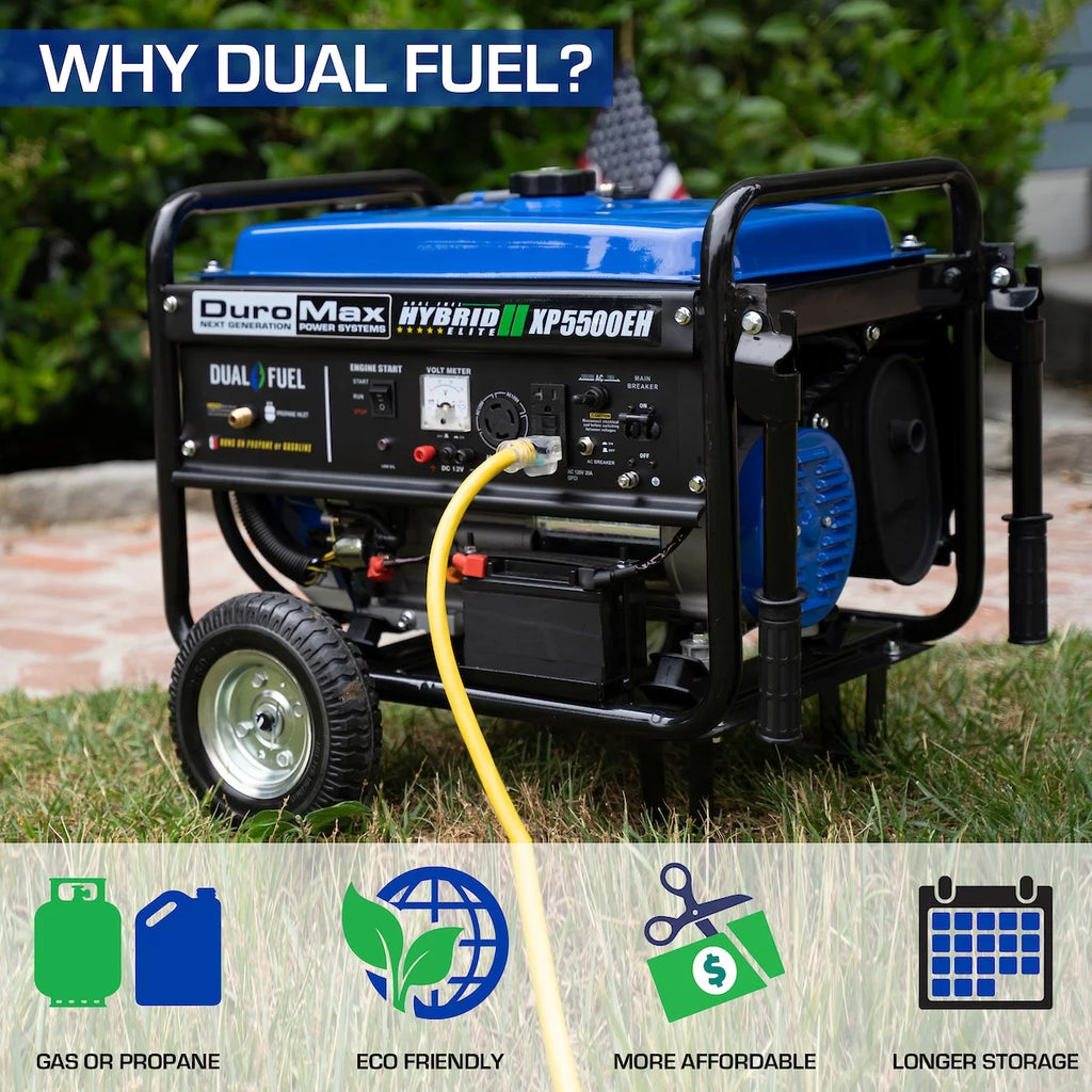 5500-Watt Dual Fuel Portable Generator L815