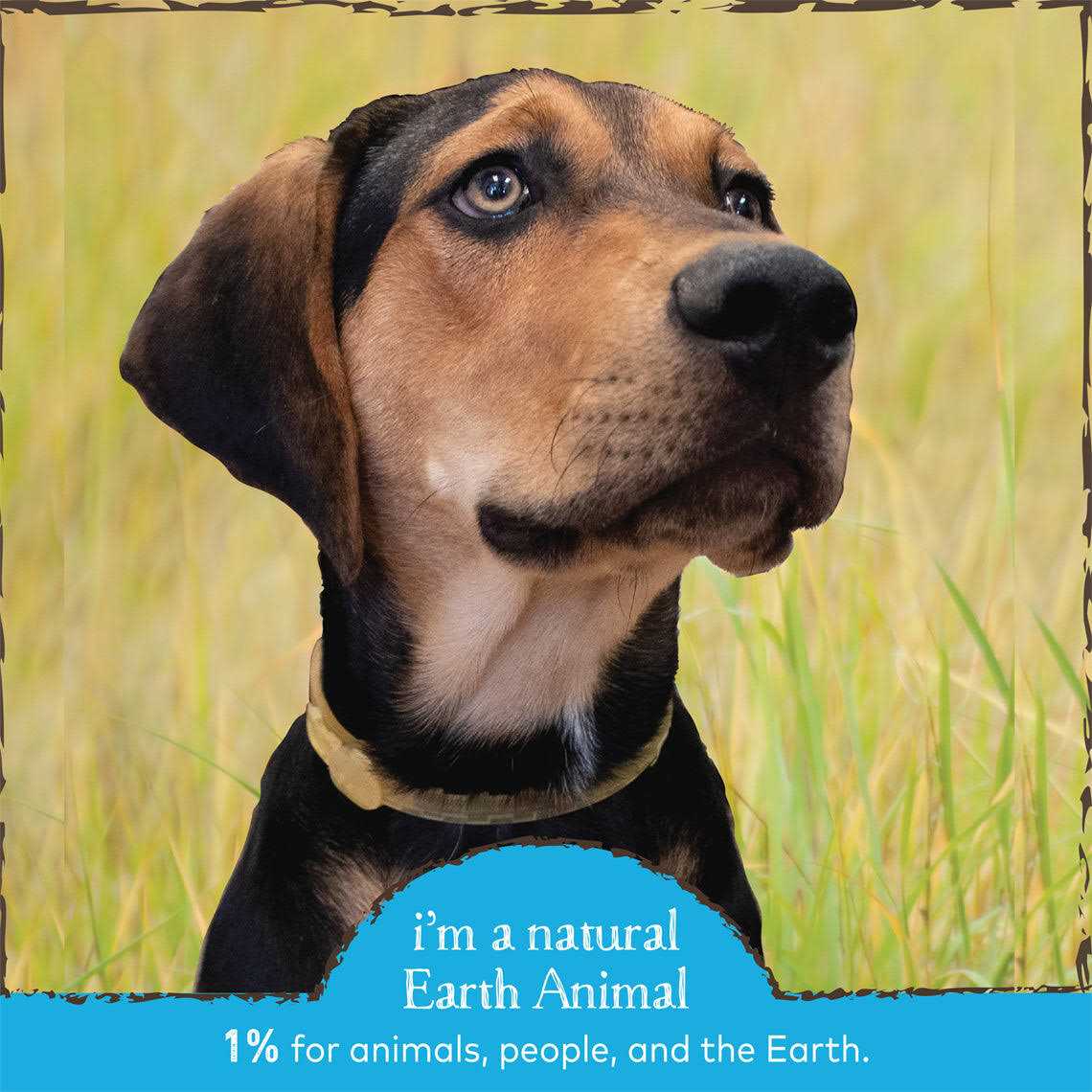 Herbal Flea Tick Collar for Dogs E90879