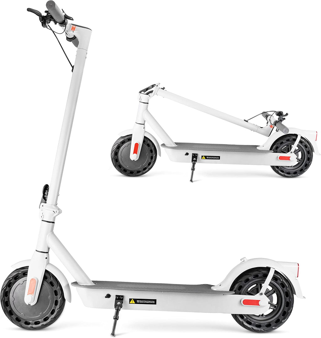 10'' Electric Scooter with 350W Motor G9501