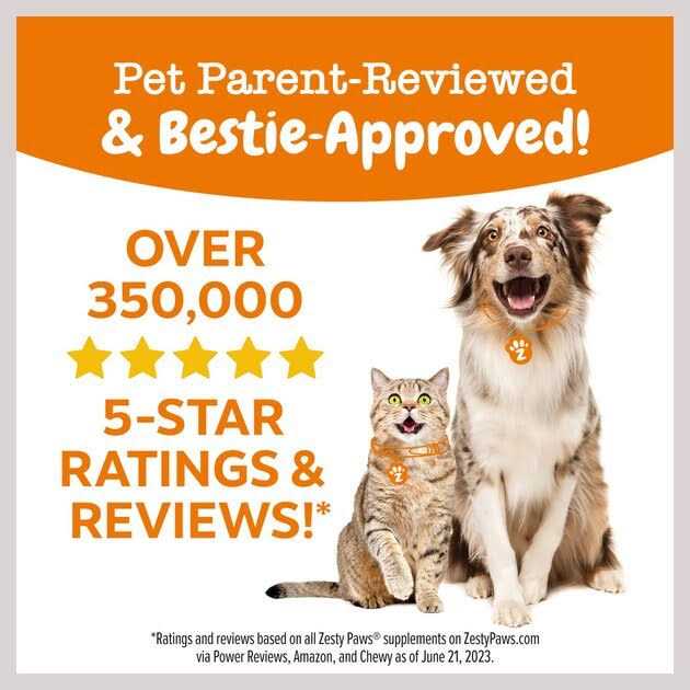 Training Treats for Dogs T739062