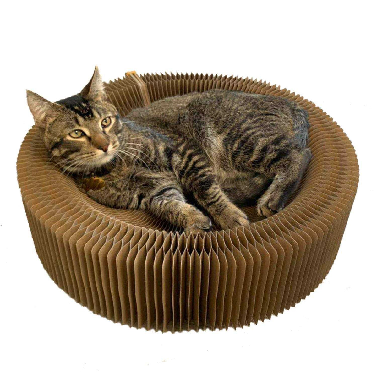 Cat Scratcher Lounge Bed B359