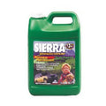 Antifreeze Case of 6 O102117