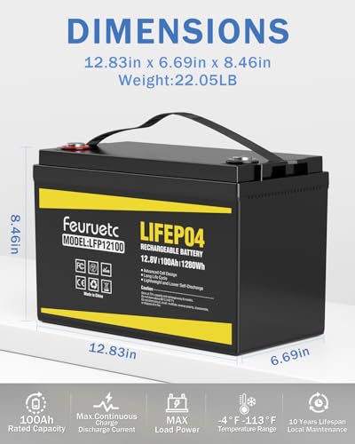 2 Pack 12V 100Ah Lithium LiFePO4 Battery with 100A BMS U640569