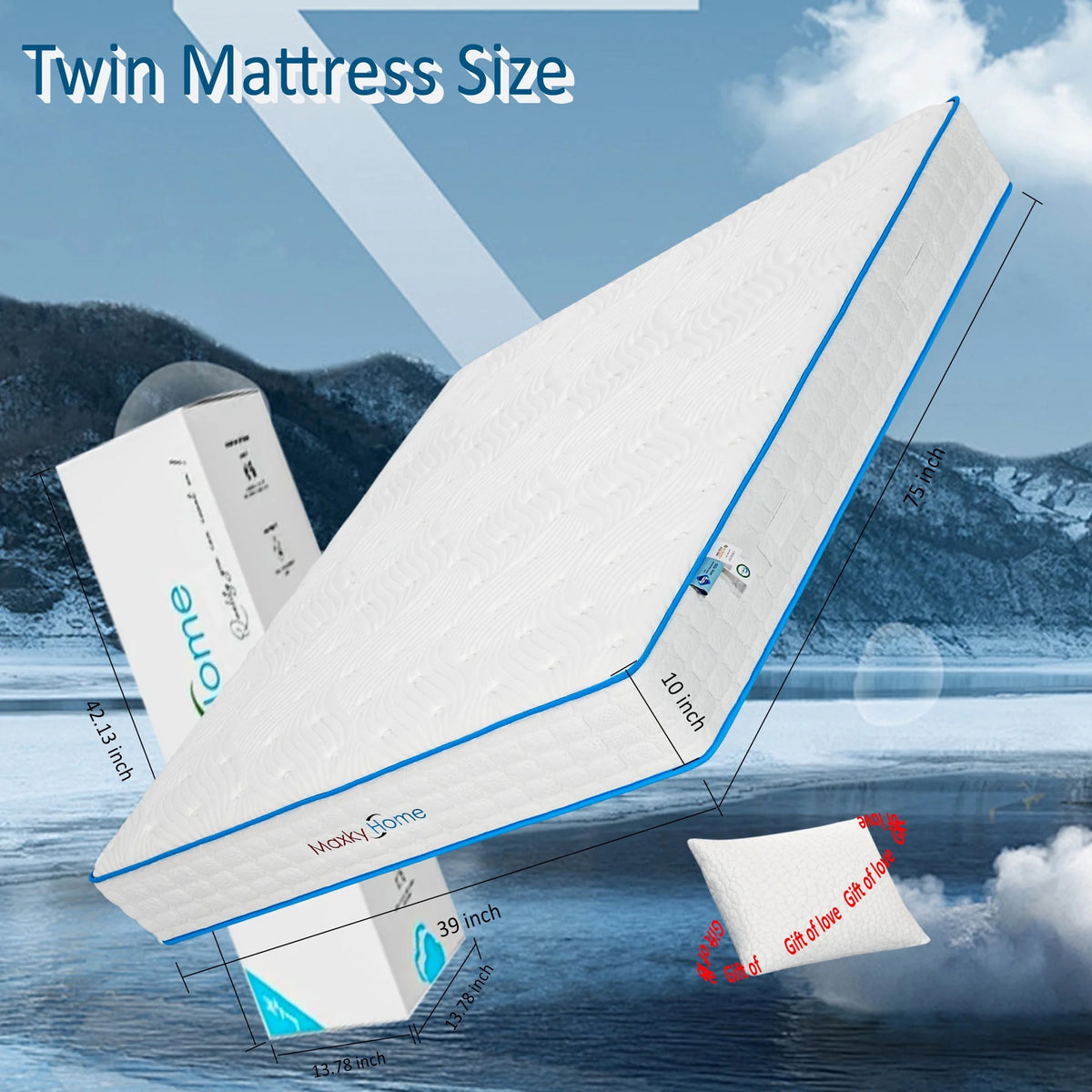 10 Inch Twin Memory Foam Mattress C19941