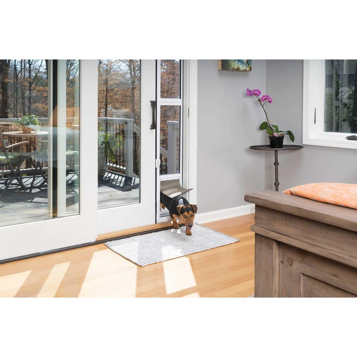 Sliding Glass Pet Door O206670