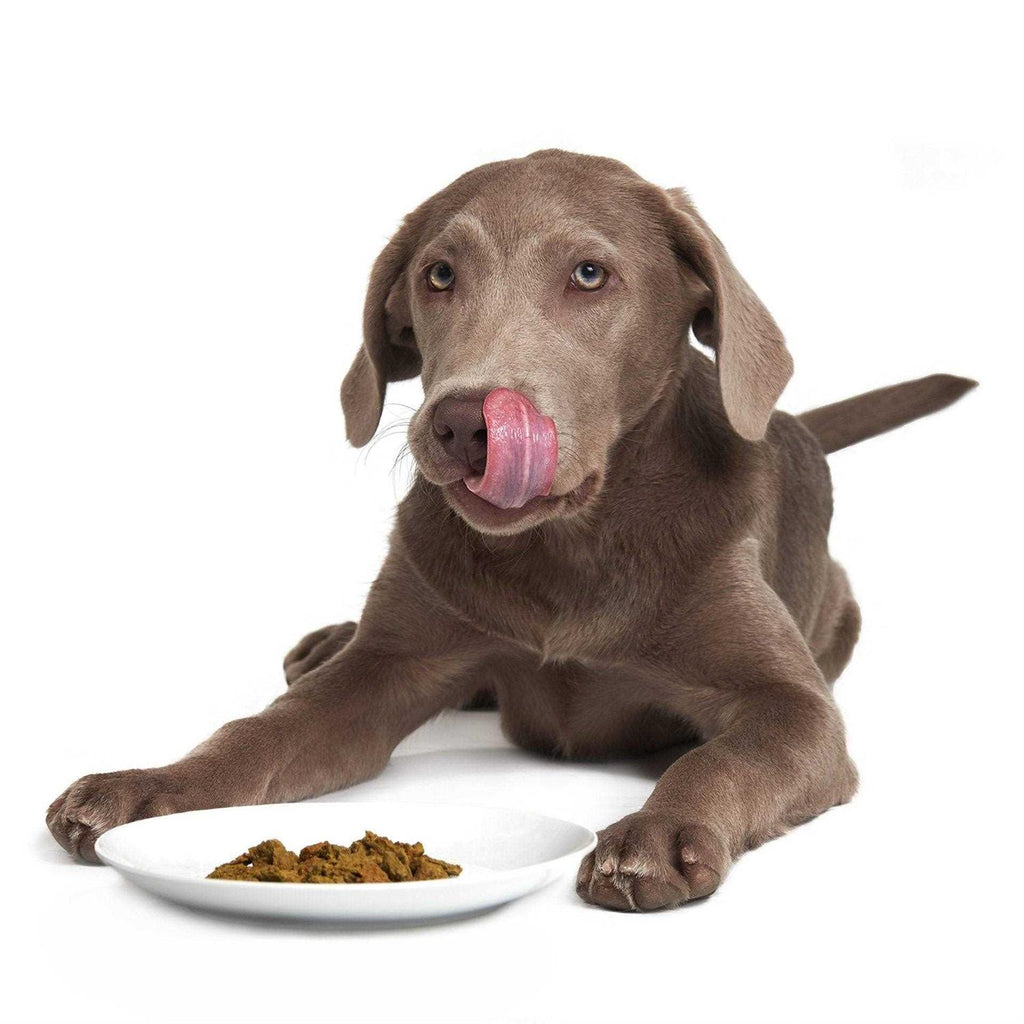 Dehydrated Pet Food N387
