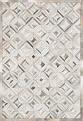 Ivory Grey 9'3 x 13' Rug E679