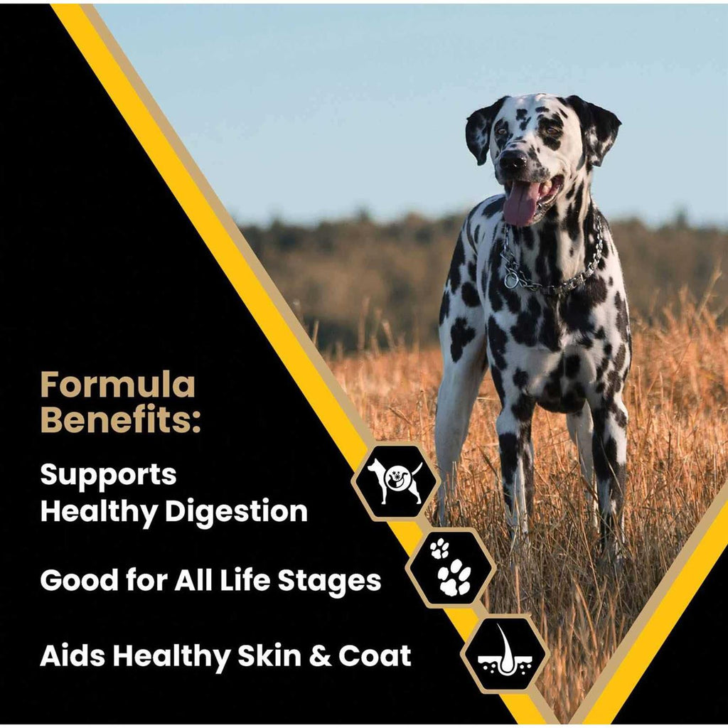 Dog Food Y174655