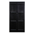 Espresso 2 Door Storage Cabinet B8615