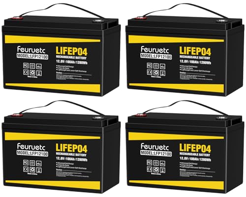 2 Pack 12V 100Ah Lithium LiFePO4 Battery with 100A BMS U640569