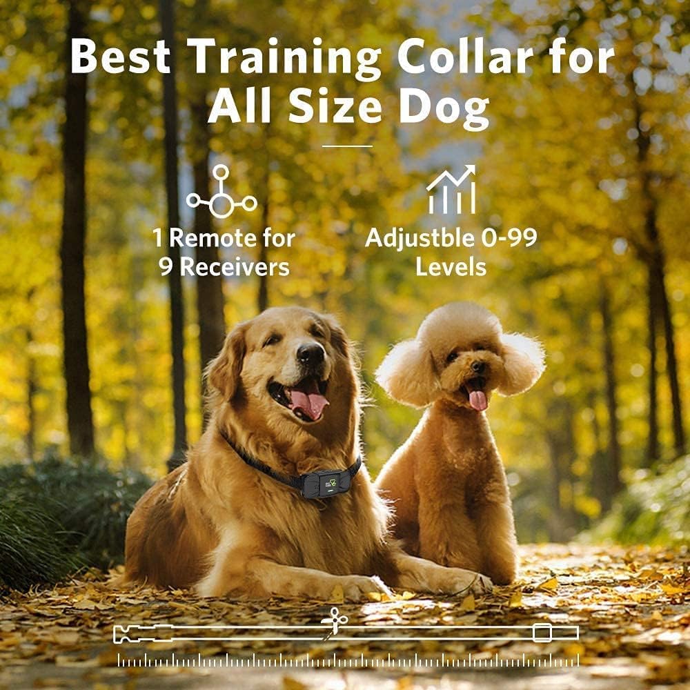 Dog Training Collar with Remote, Beep Vibration Static Modes, Pack of 2 M388316