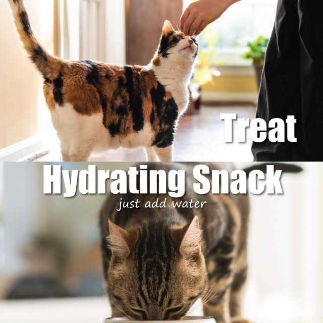 Freeze-Dried Chicken Cat Treats L66848