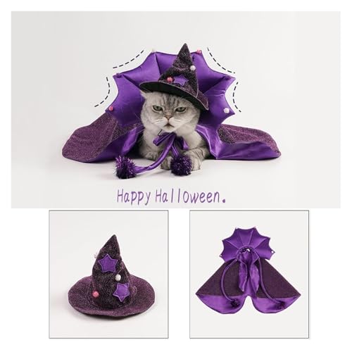 Purple Pet Costume with Cape and Witch Hat H346585