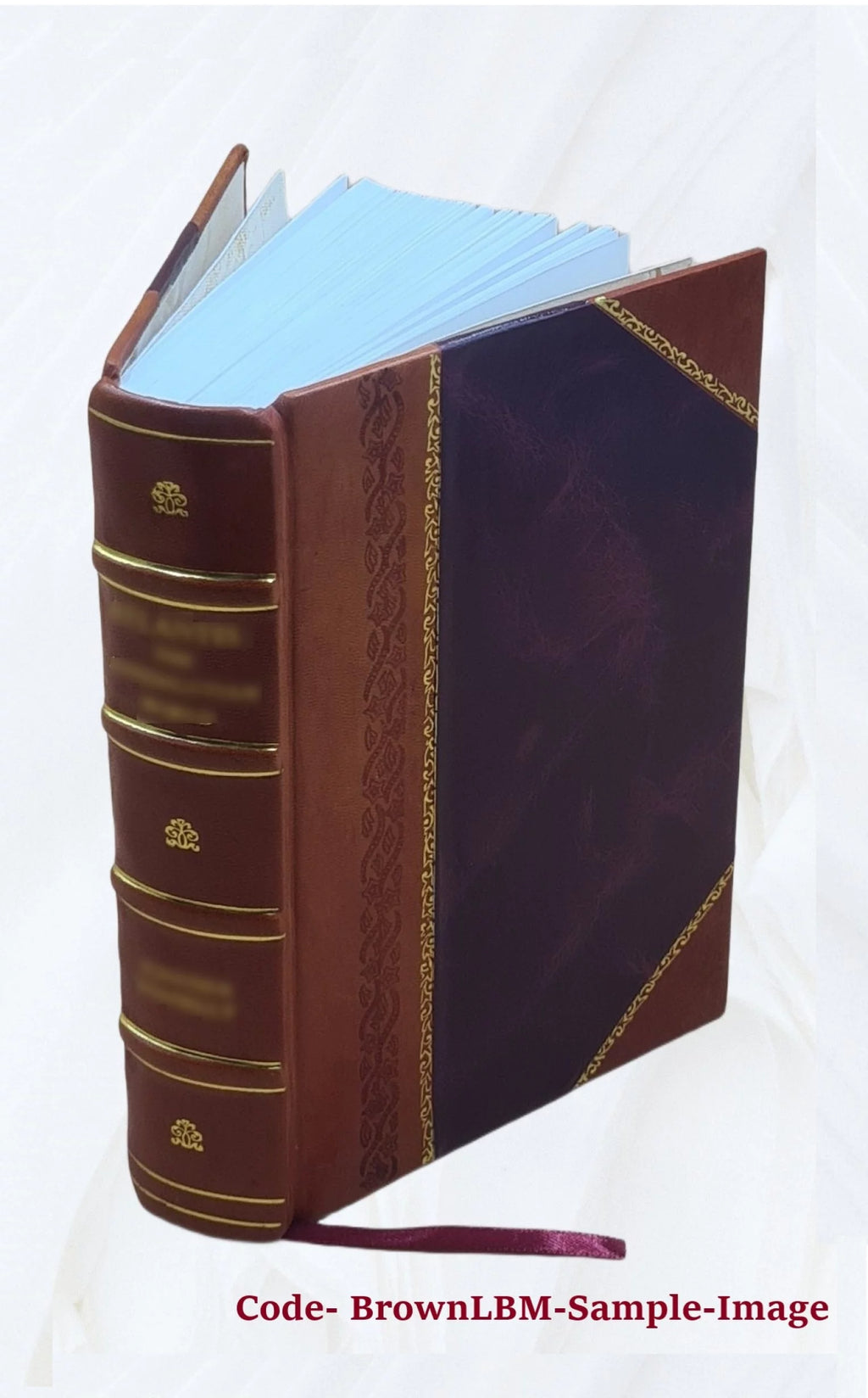 Leather Bound D69314