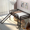 White Twin Size Wood Loft Bed with Slide Q6341