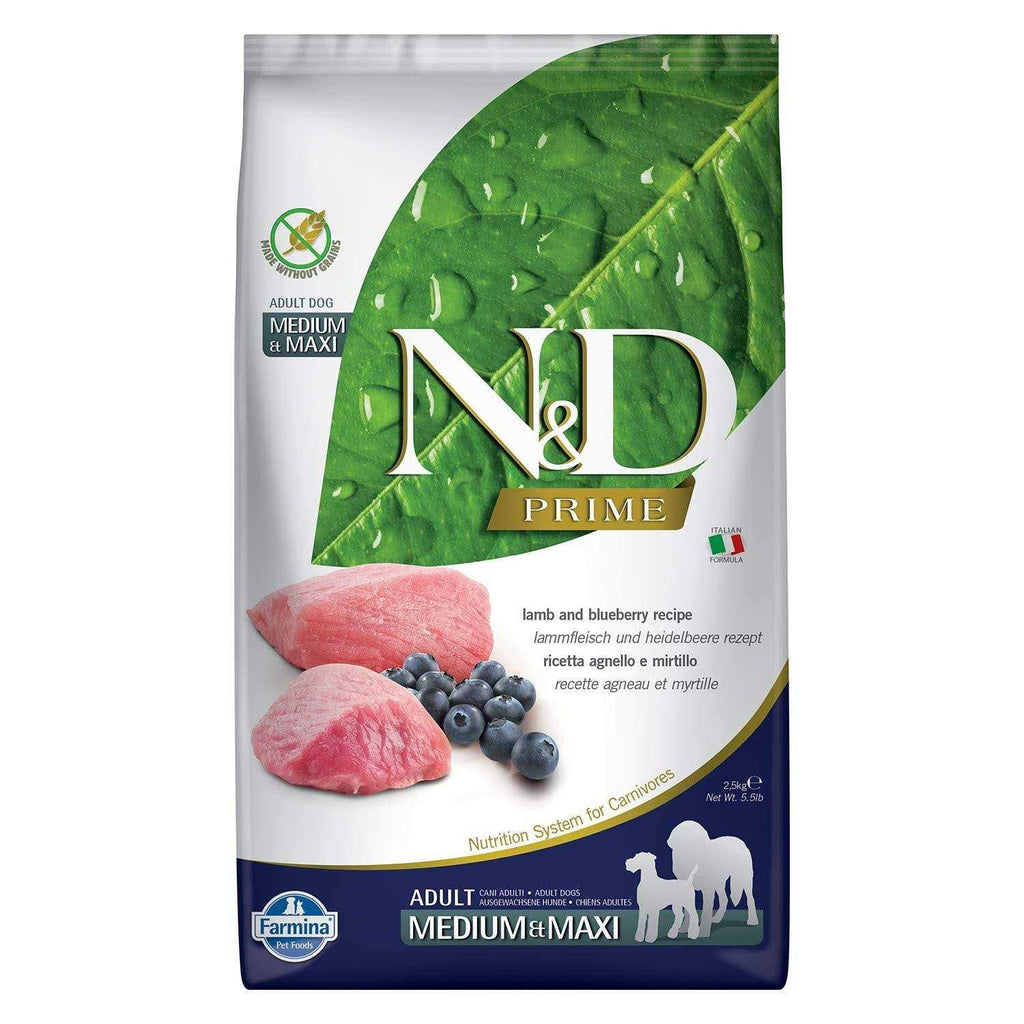 Lamb & Blueberry Grain Free Dry Dog Food Z231735