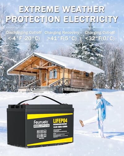 2 Pack 12V 100Ah Lithium LiFePO4 Battery with 100A BMS U640569