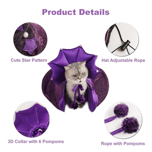 Purple Pet Costume with Cape and Witch Hat H346585