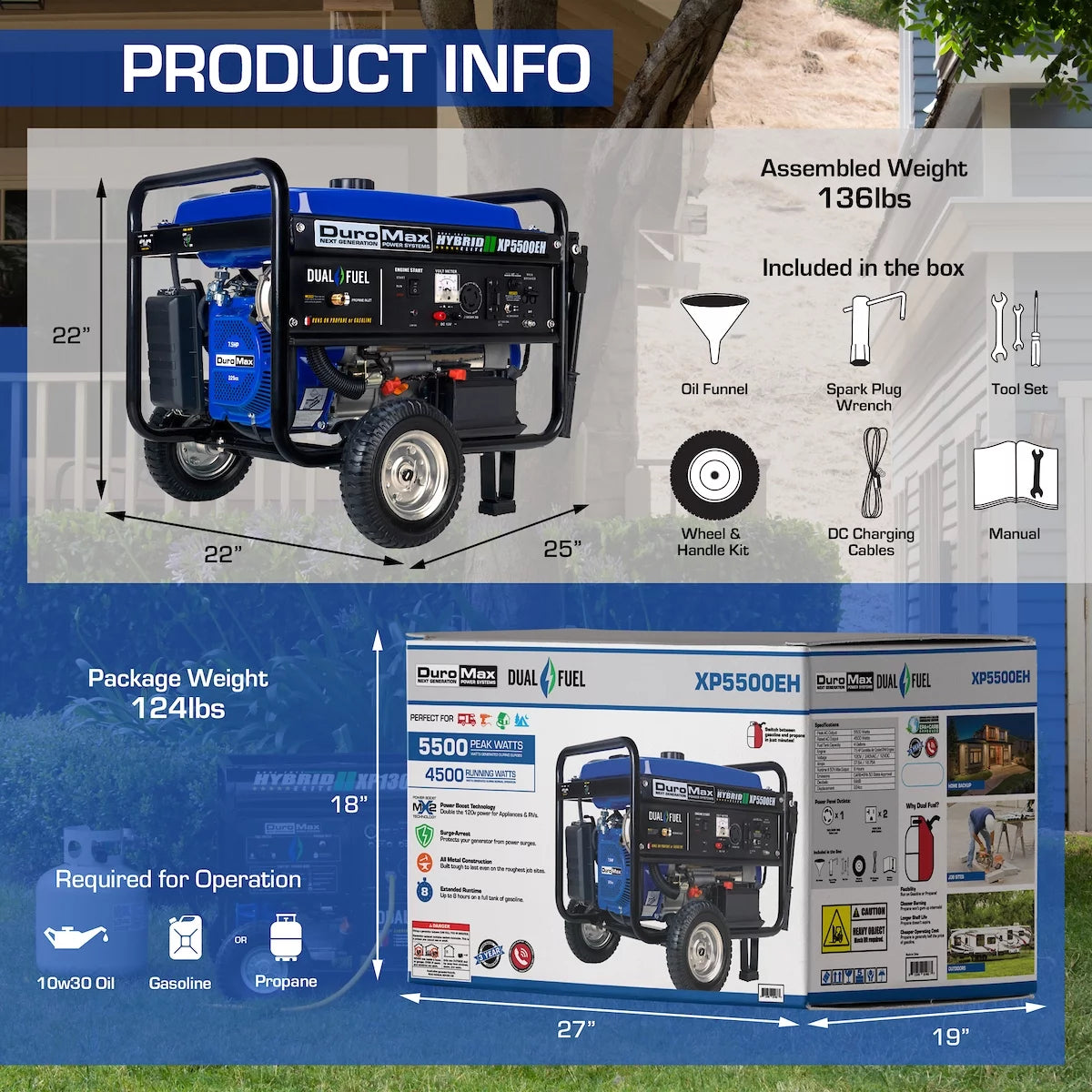 5500-Watt Dual Fuel Portable Generator L815