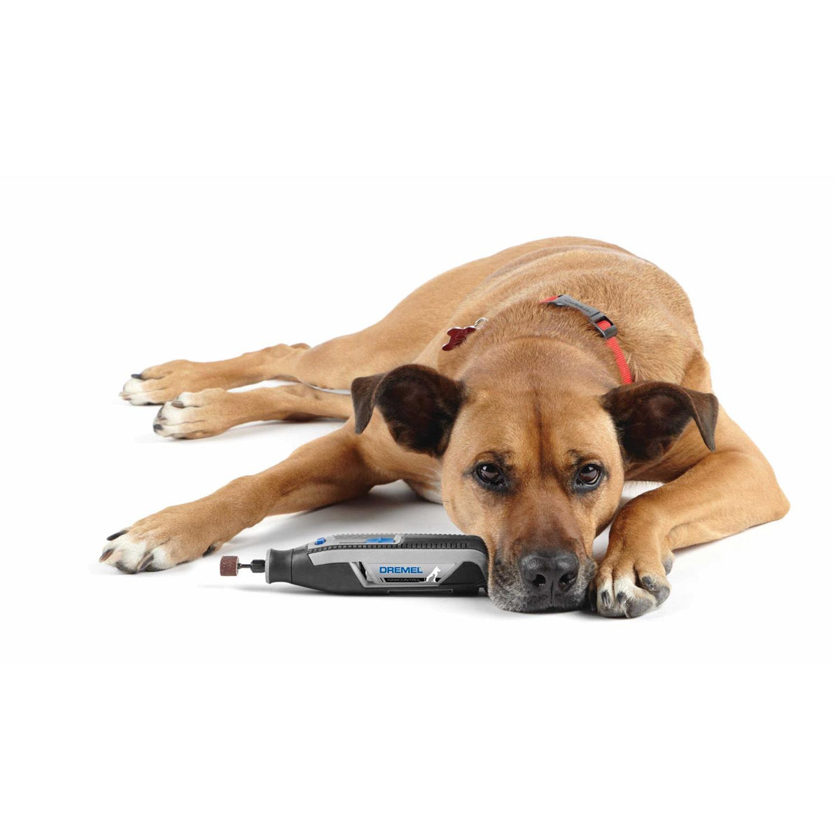 Cordless Pet Nail Grooming Kit L6400
