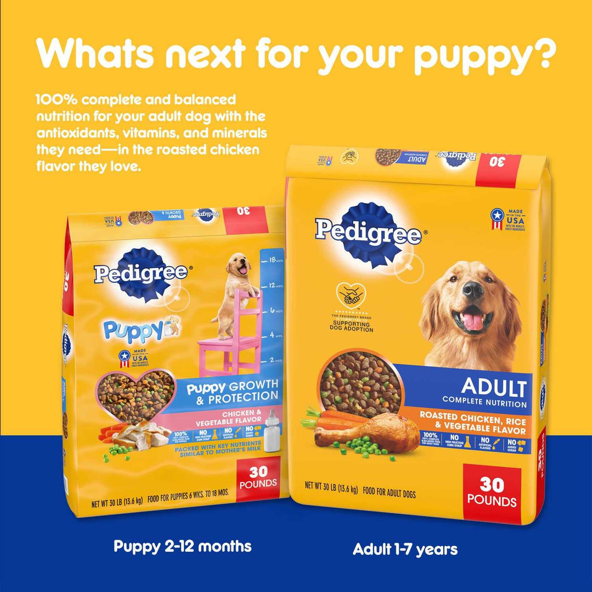 Chicken & Vegetable Flavor Dry Dog Food W335238