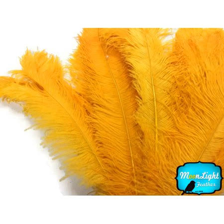 Golden Yellow Large Wing Plumes Wholesale Feathers U21796